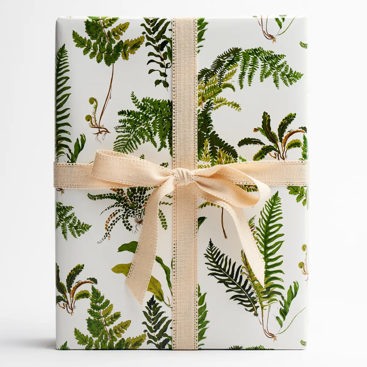 Les Fougeres Wrapping Paper_ DOCUMENT