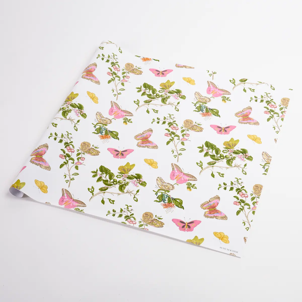 Baudin Butterfly Wrapping Paper_ BLUSH