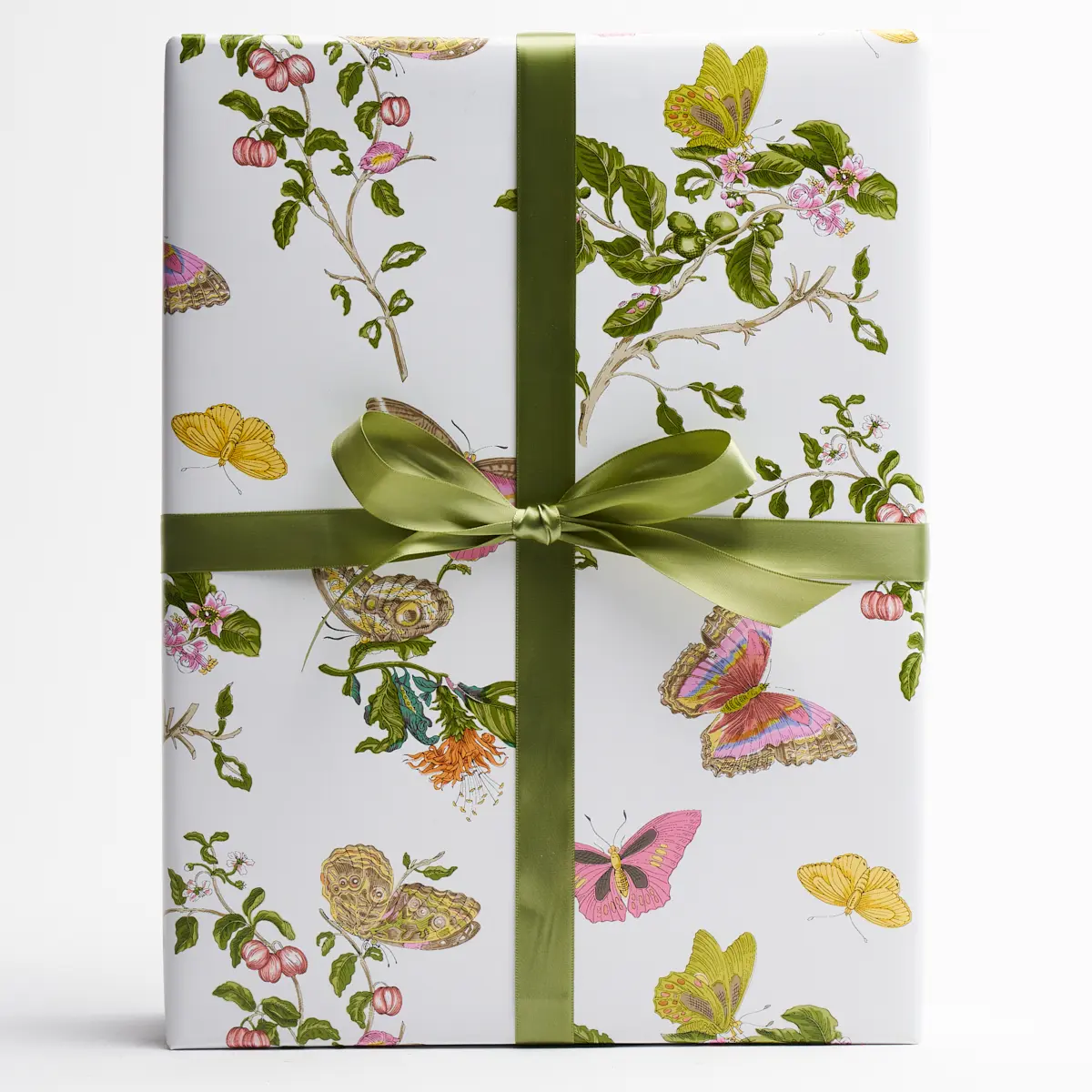 Baudin Butterfly Wrapping Paper_ BLUSH
