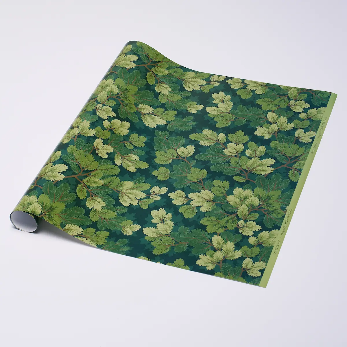 Covey Hedge Wrapping Paper_ FOREST