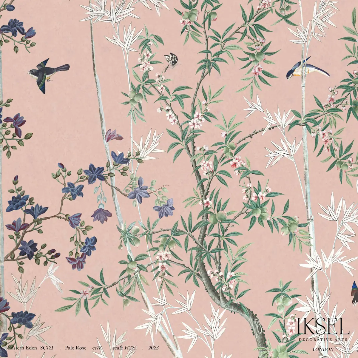 EASTERN EDEN_ PALE ROSE
