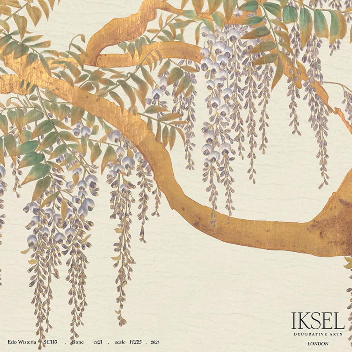 EDO WISTERIA_ BONE