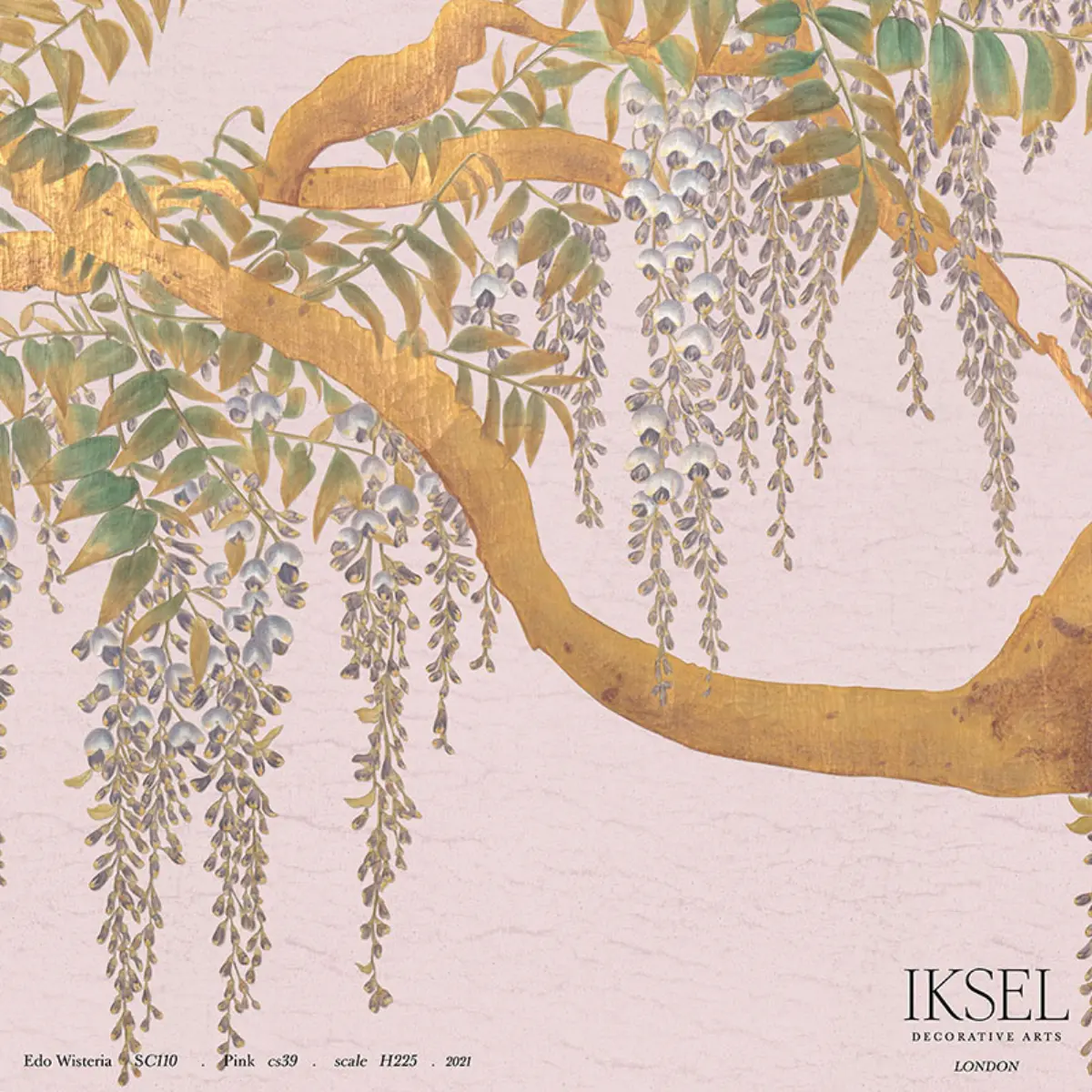 EDO WISTERIA_ PINK