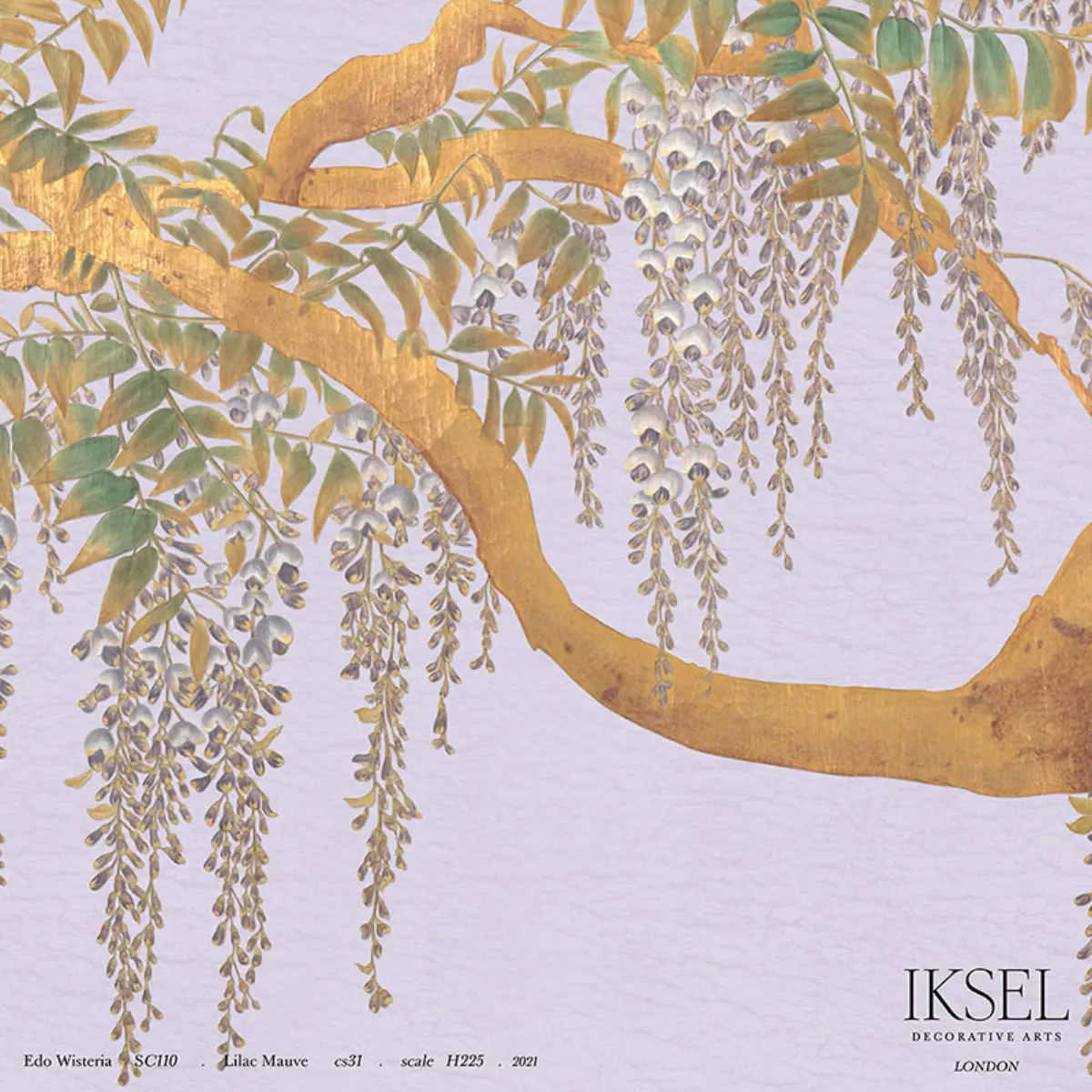 EDO WISTERIA_ LILAC MAUVE