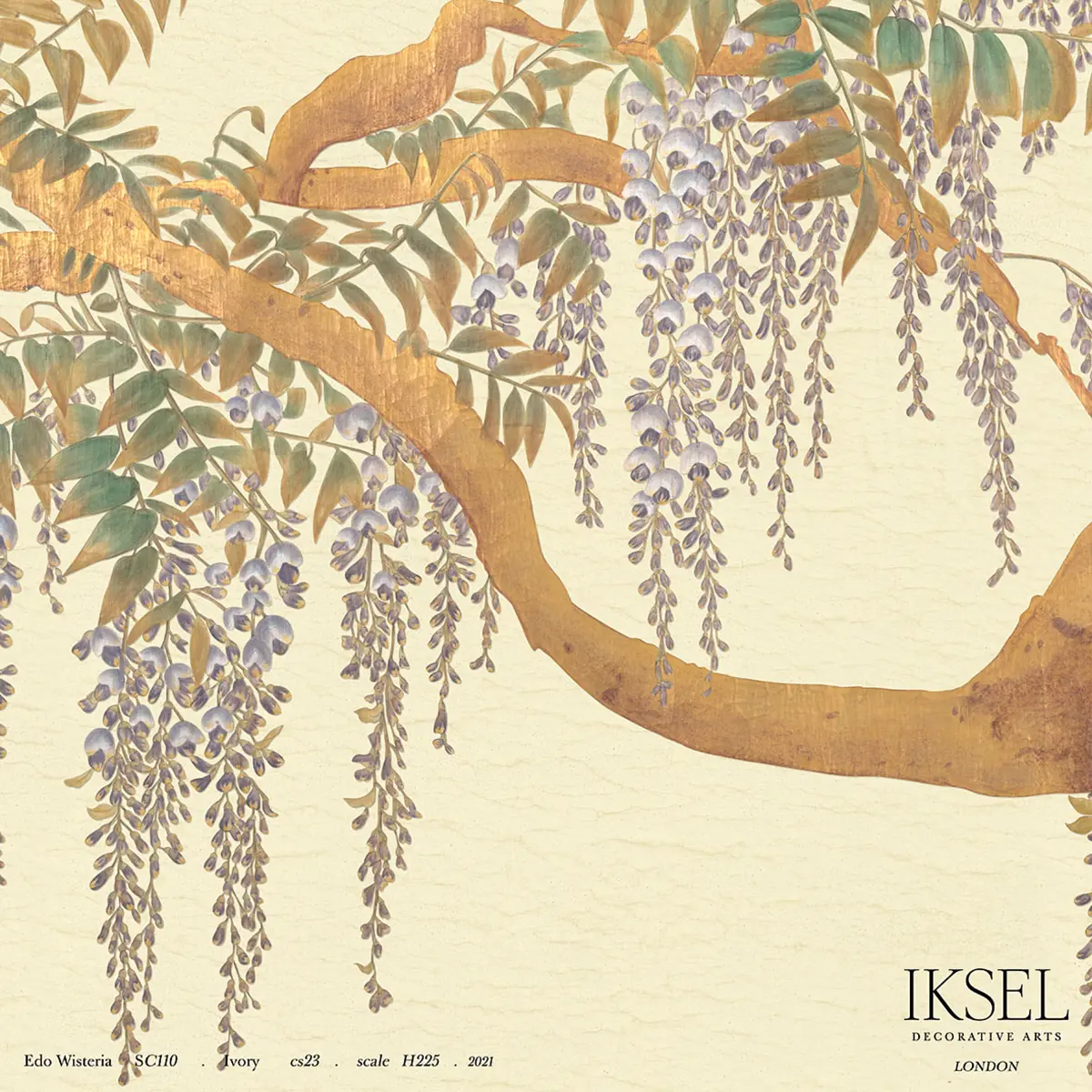 EDO WISTERIA_ IVORY
