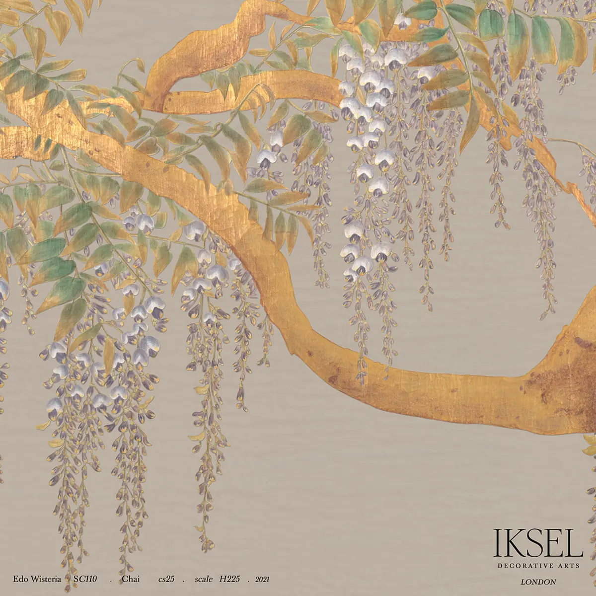 EDO WISTERIA_ CHAI