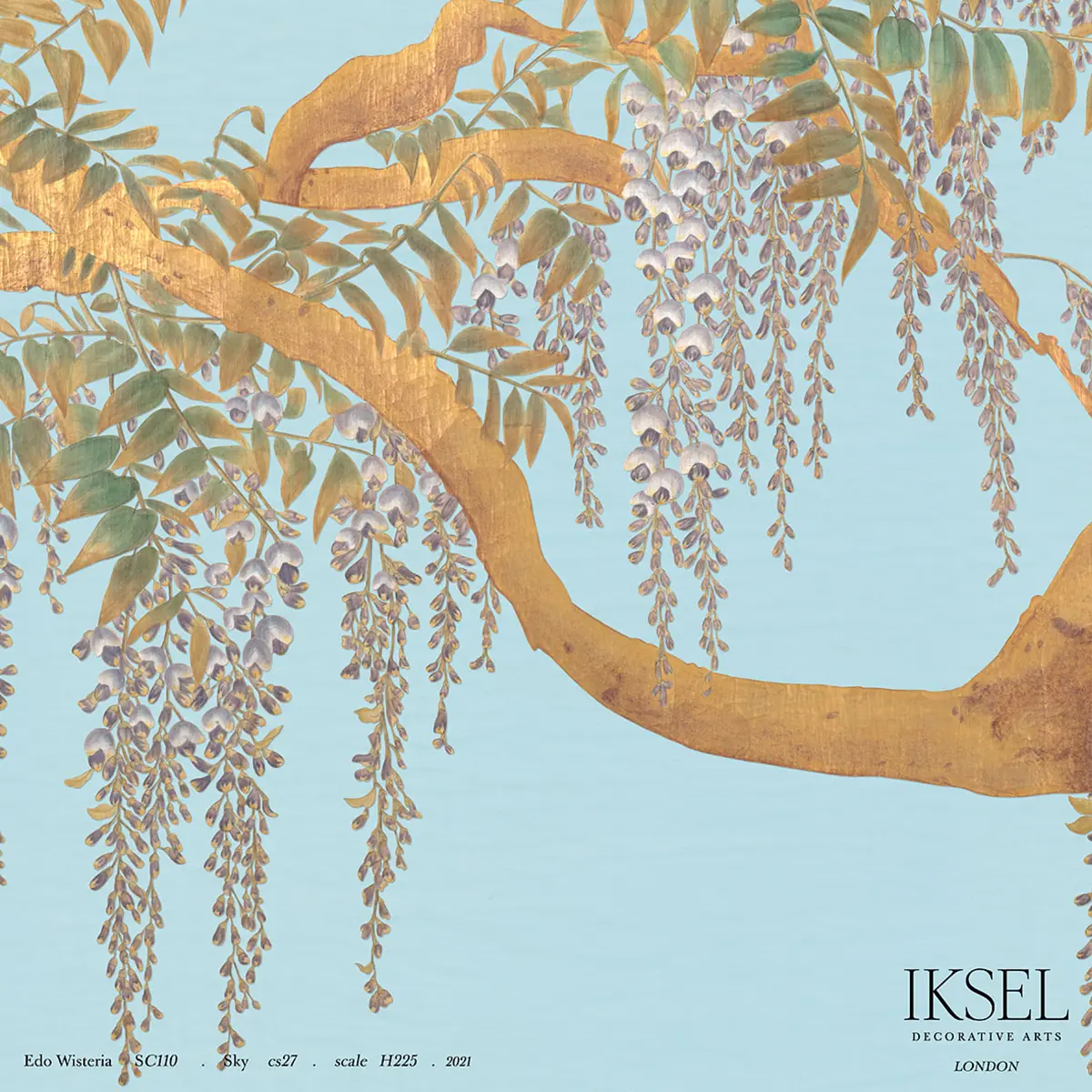 EDO WISTERIA_ SKY