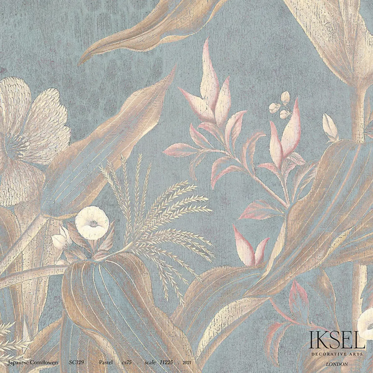 JAPANESE CORNFLOWERS_ PASTEL