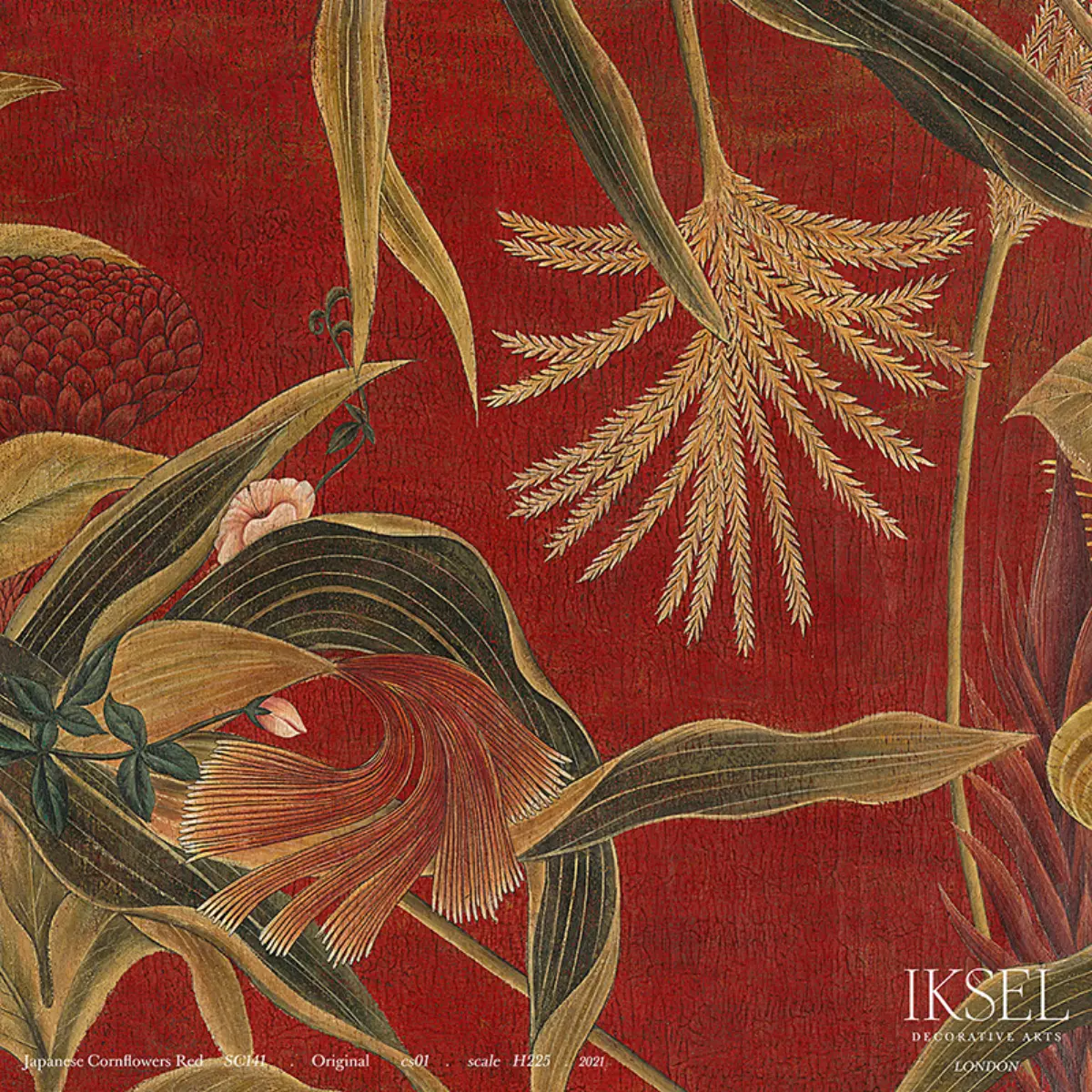 JAPANESE CORNFLOWERS_ RED