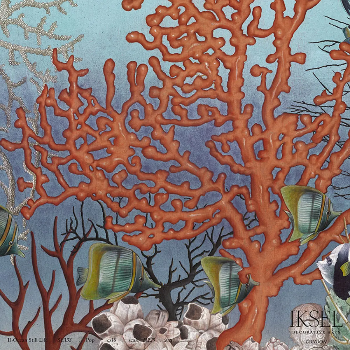 D-ocean Still Life_ POP