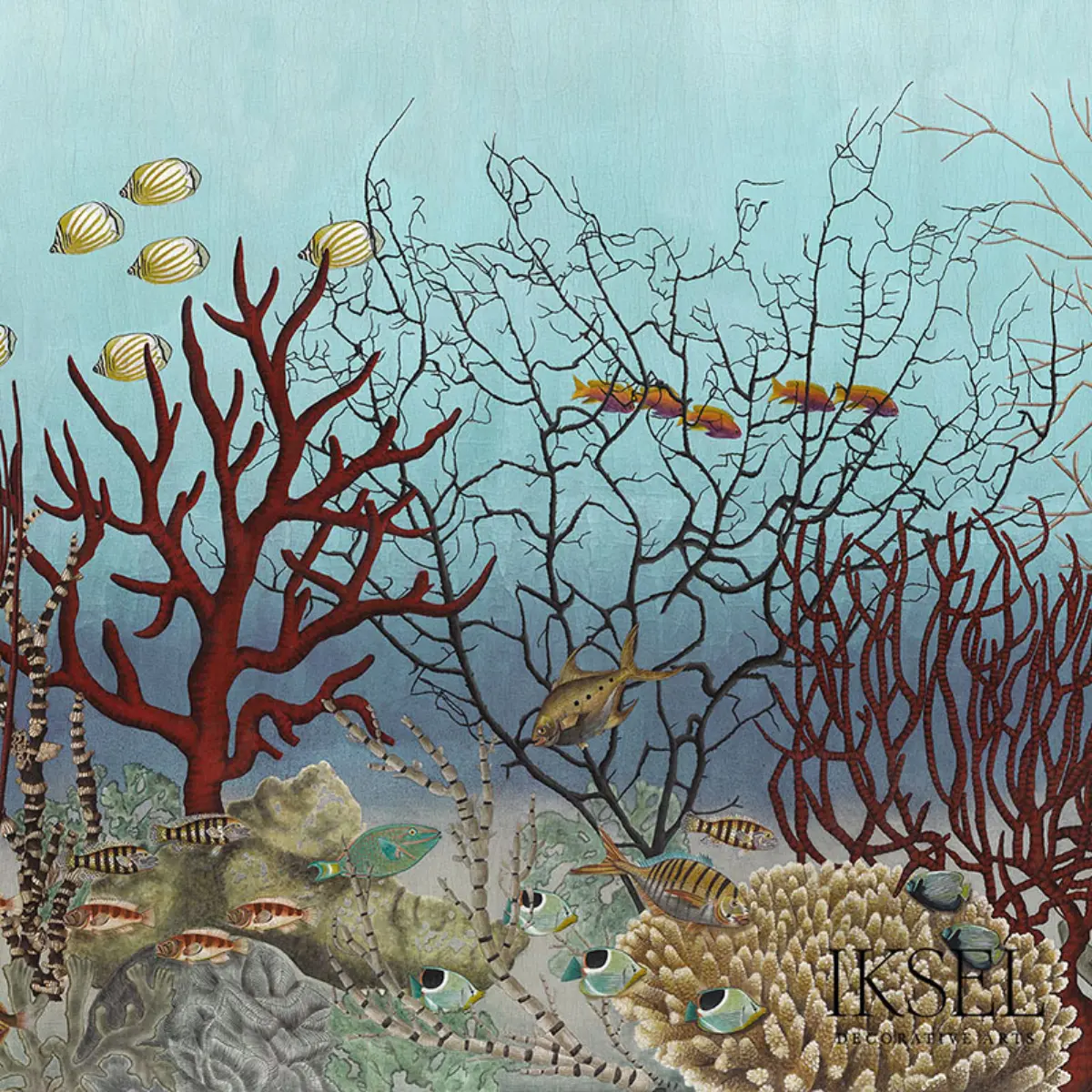 D-ocean Still Life_ POP