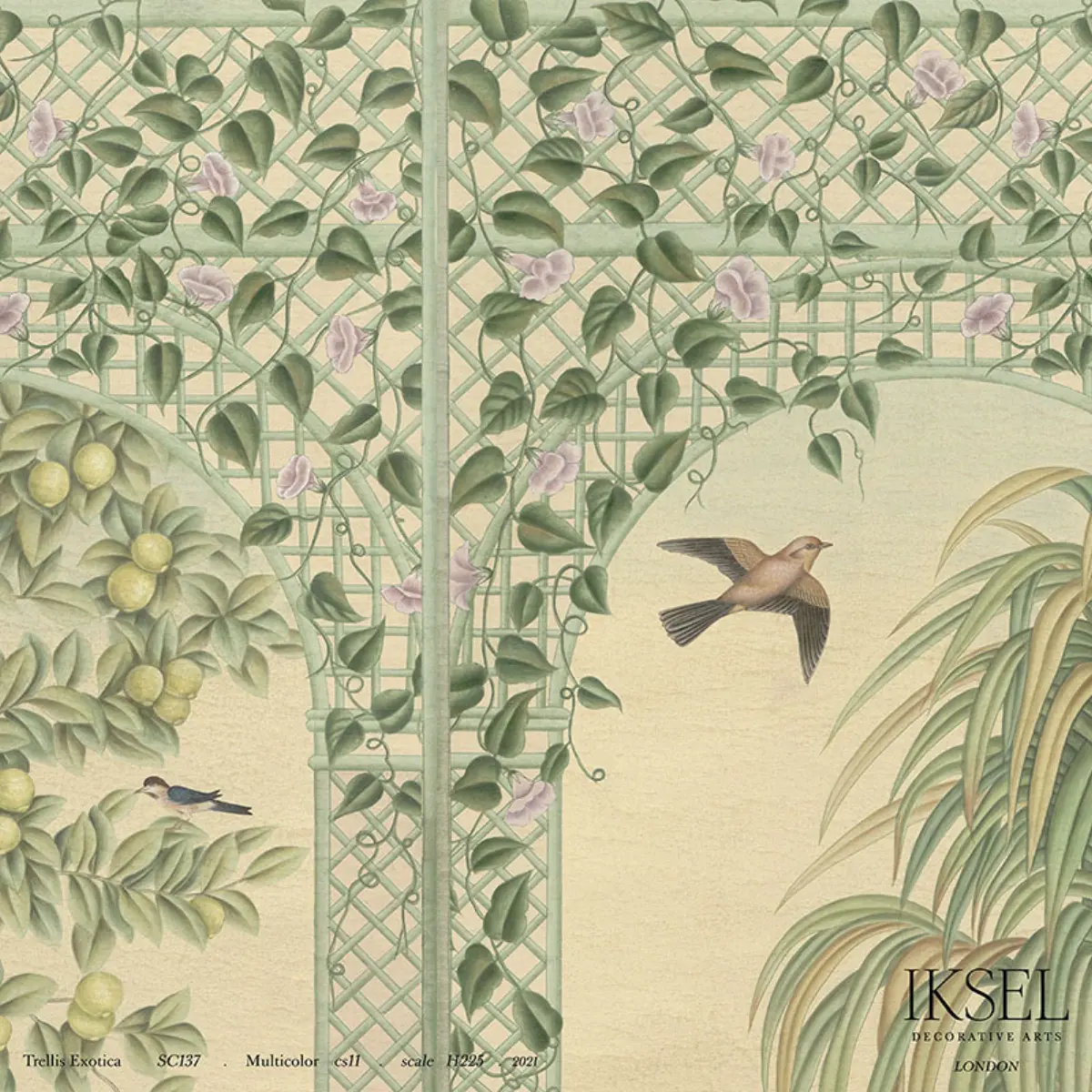 TRELLIS EXOTICA_ MULTICOLOR
