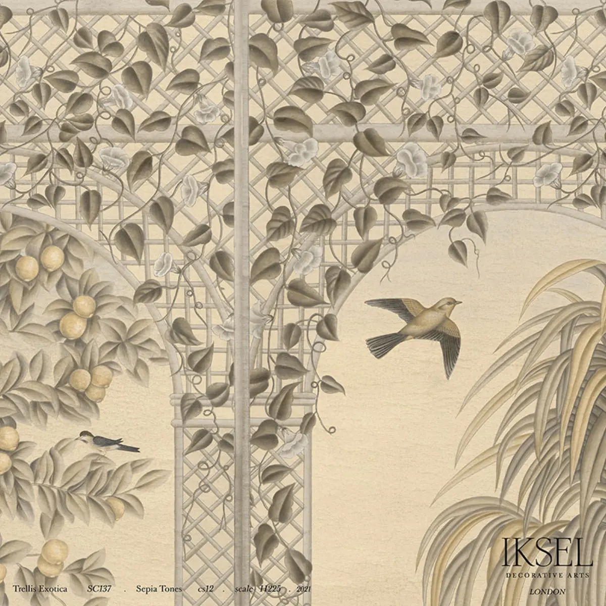 TRELLIS EXOTICA_ SEPIA TONES