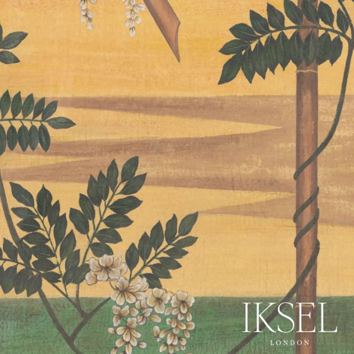 WISTERIA IN LANDSCAPE_ POP