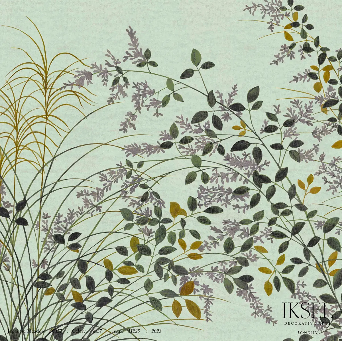 JAPANESE MEADOW_ CELERY