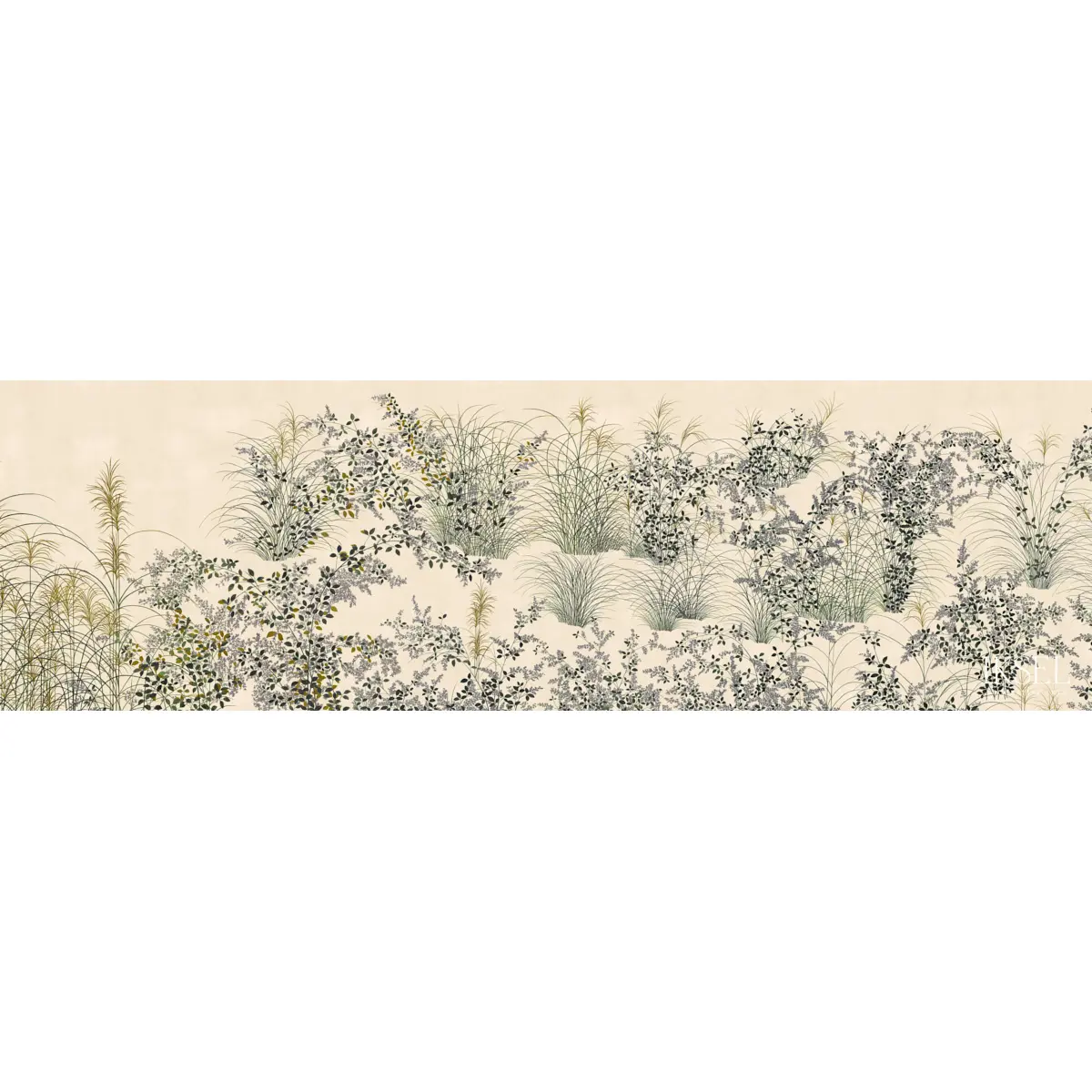 JAPANESE MEADOW_ RICE