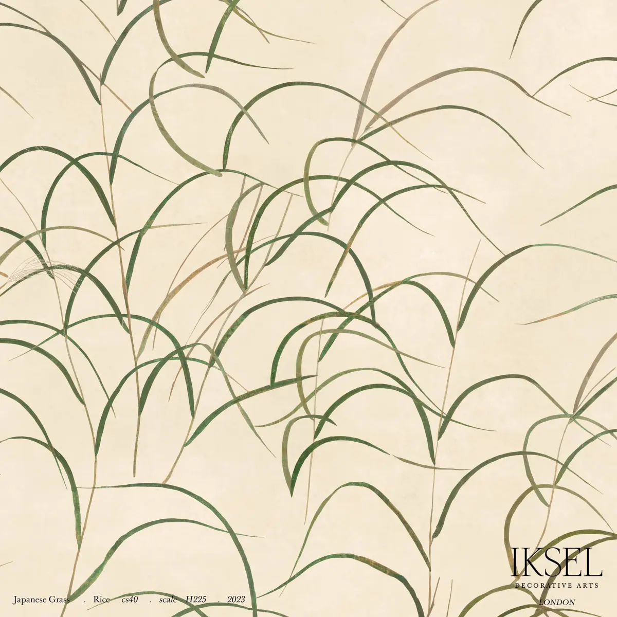 JAPANESE GRASS_ RICE