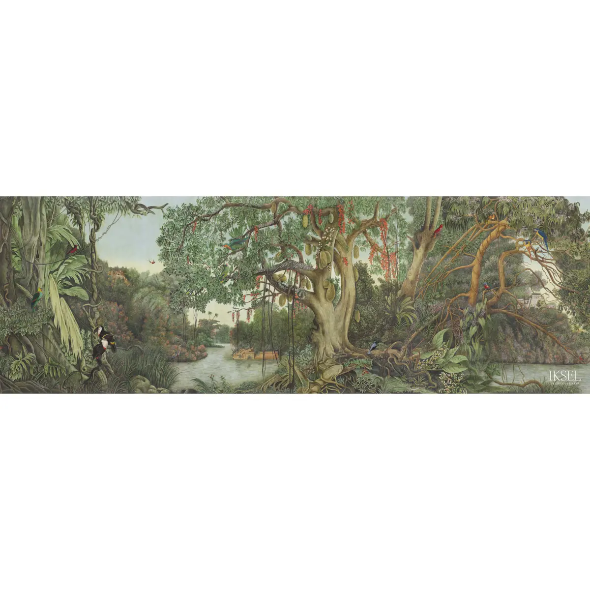 AMAZONIA_ MULTICOLOR
