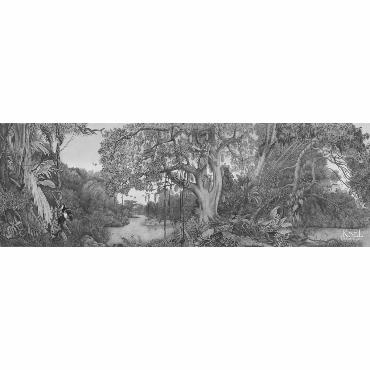 AMAZONIA_ GREY TONES