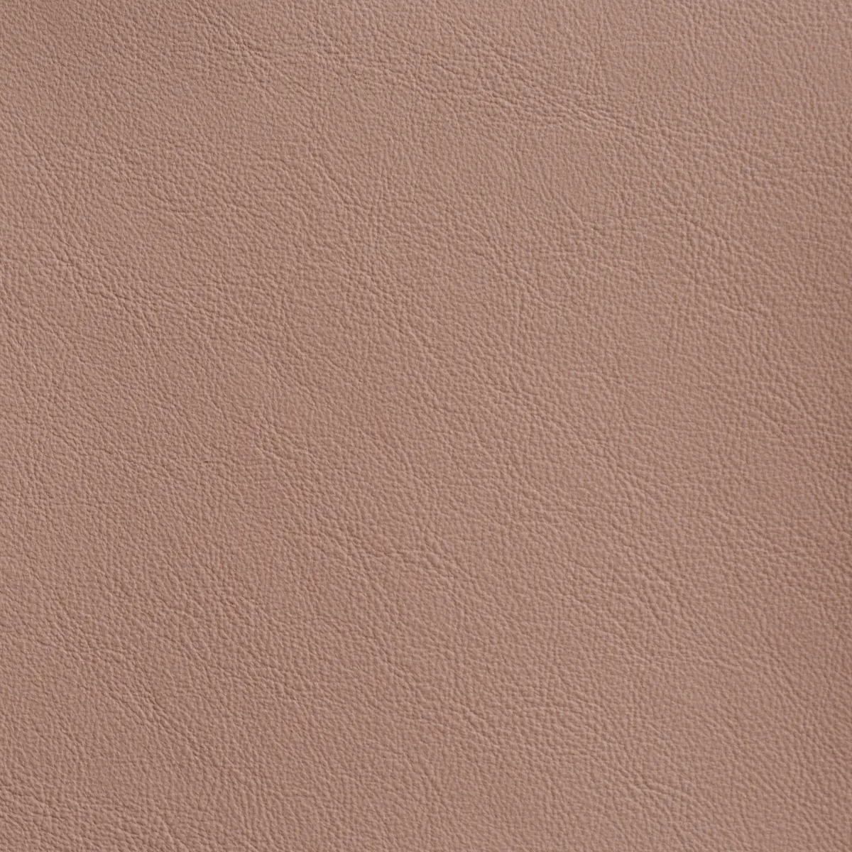 OLAN_ ANTIQUE ROSE