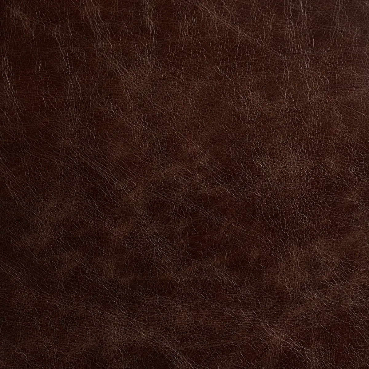 MATTO_ WALNUT