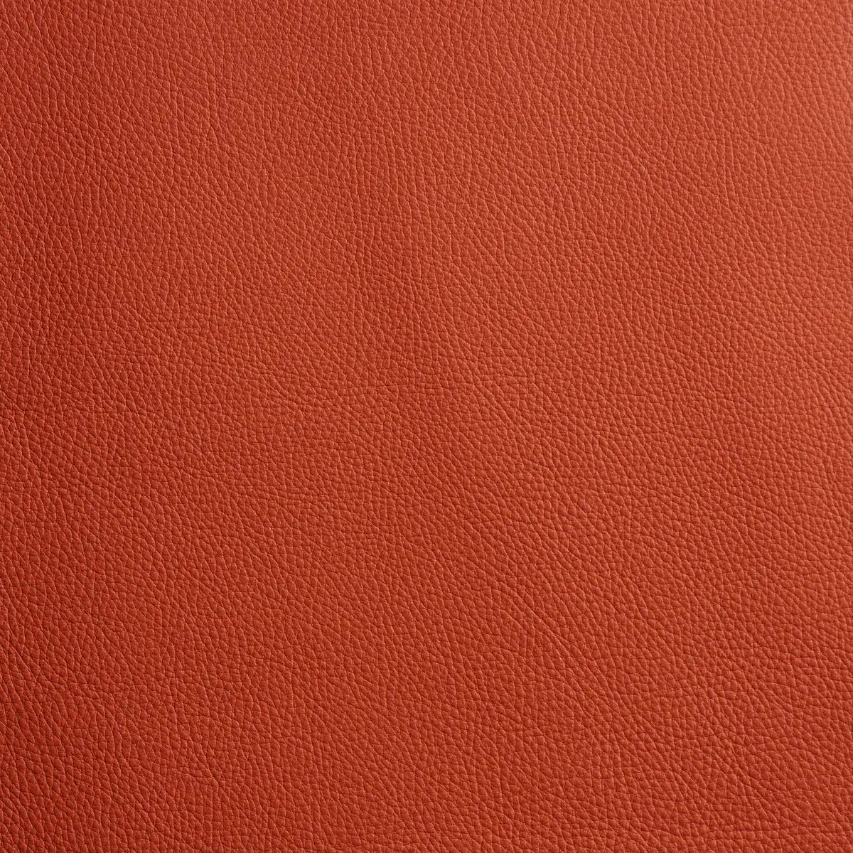 LEONE_ BURNT ORANGE