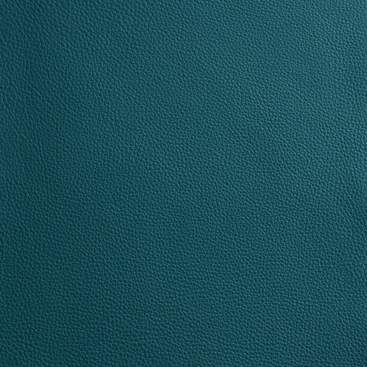 LEONE_ TEAL