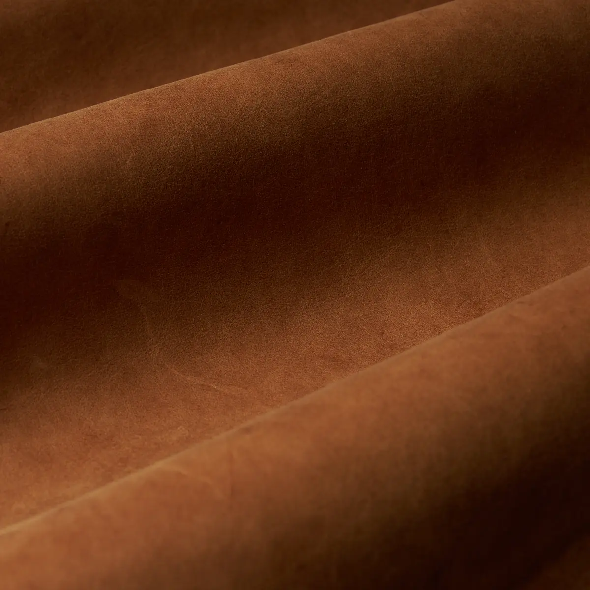 CORTINA_ CINNAMON