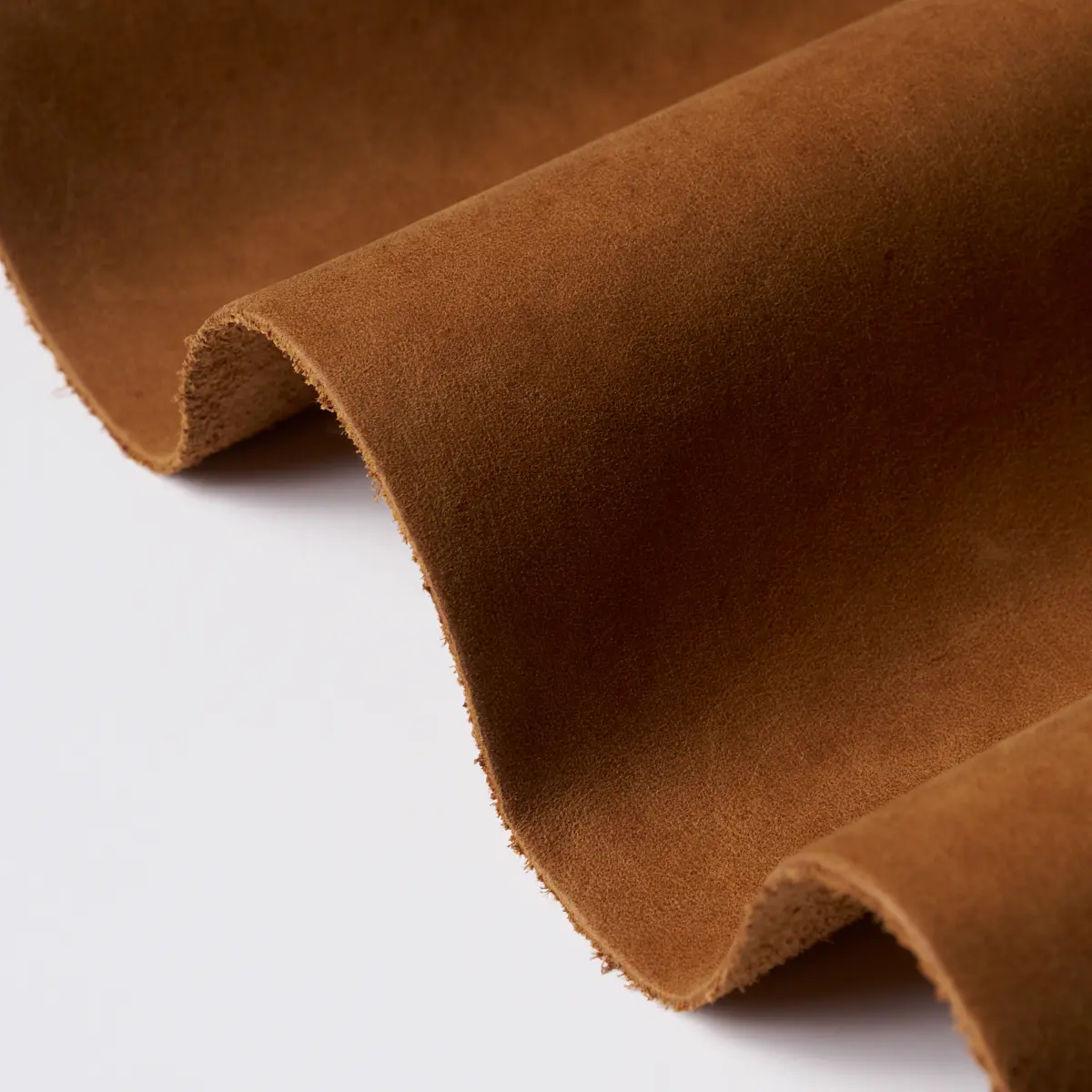 CORTINA_ CINNAMON