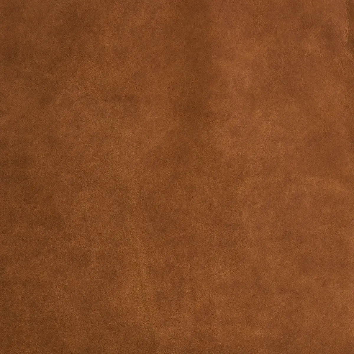 CORTINA_ CINNAMON