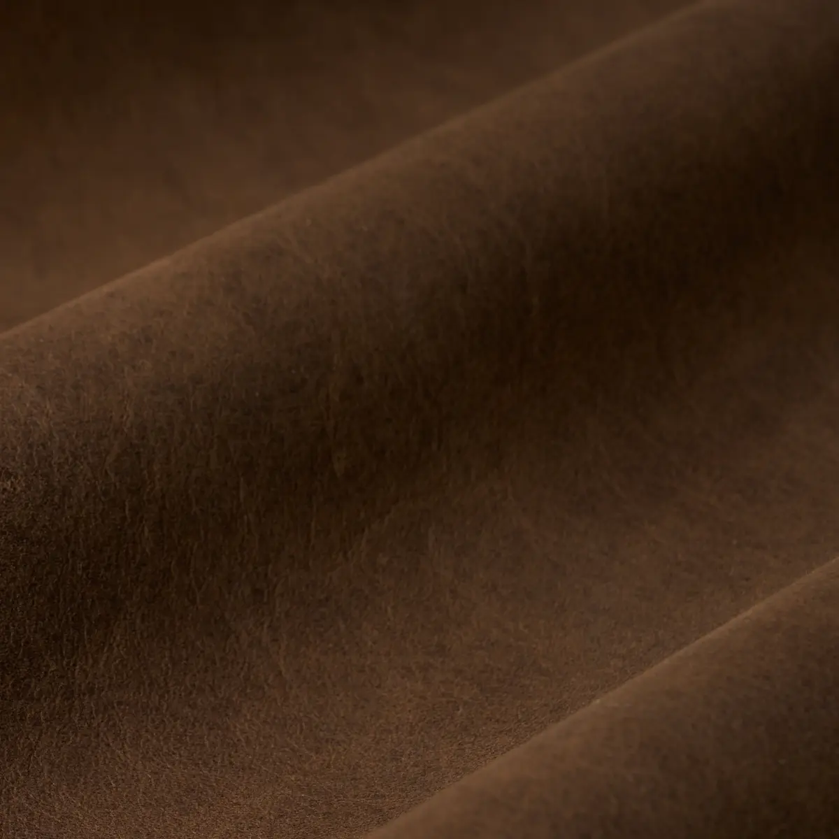 CORTINA_ WALNUT