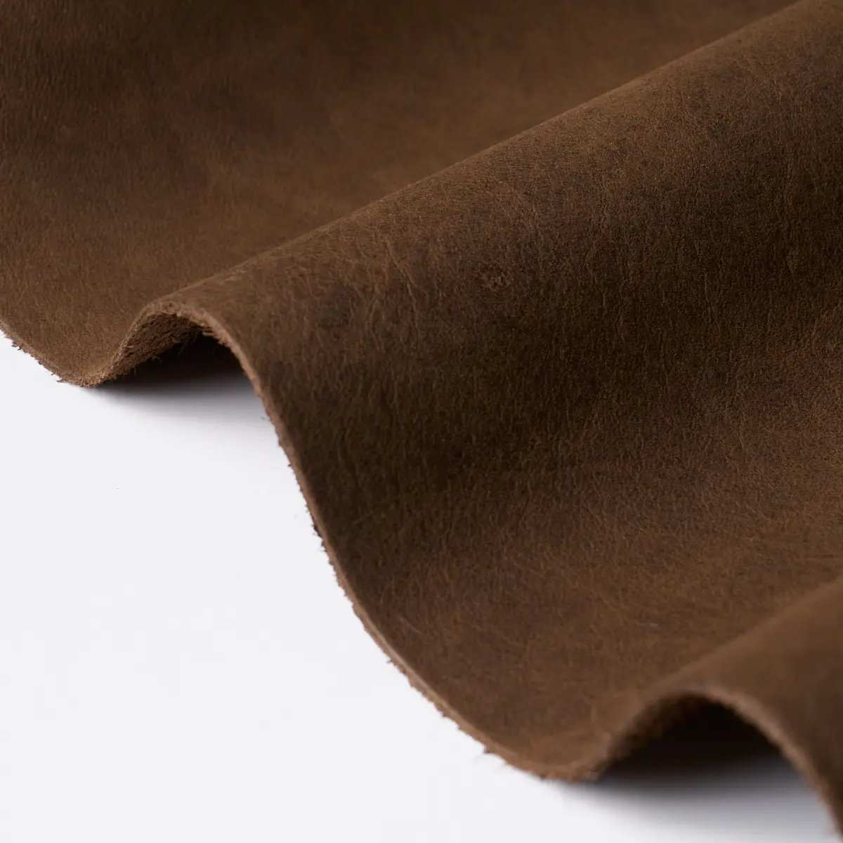 CORTINA_ WALNUT