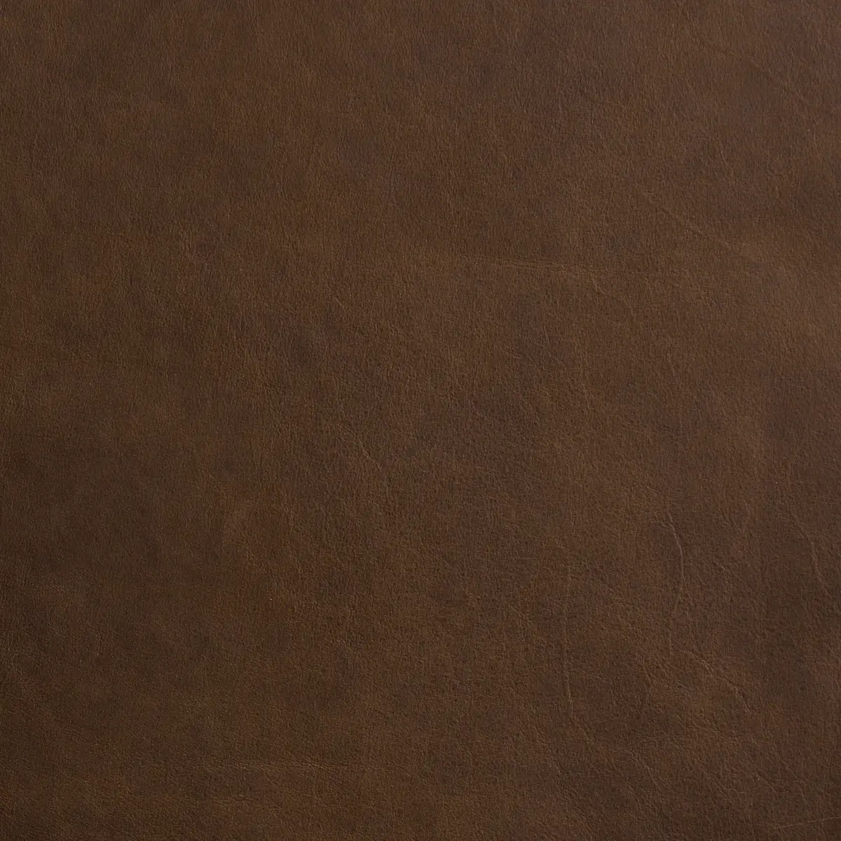 CORTINA_ WALNUT