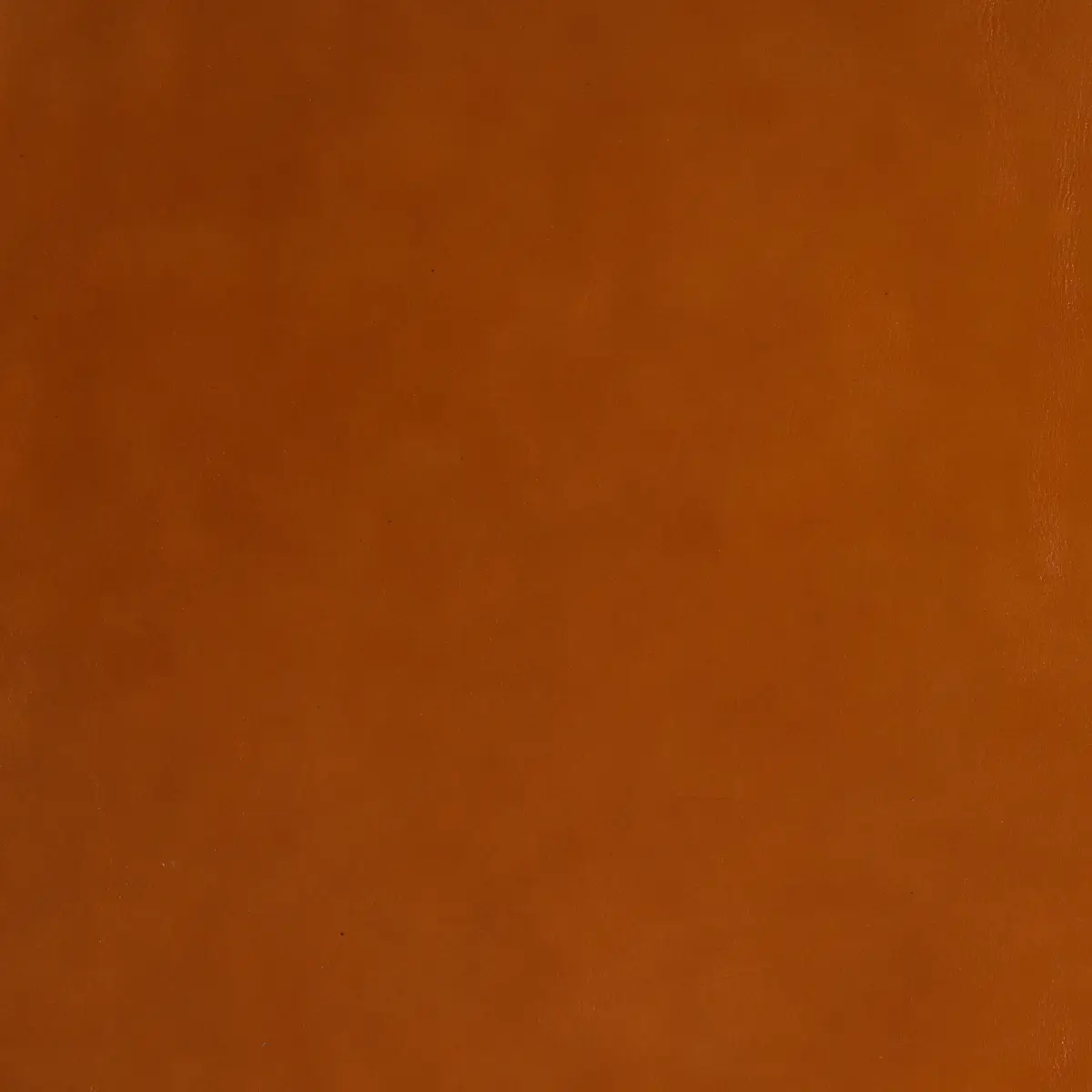 IGER_ SADDLE