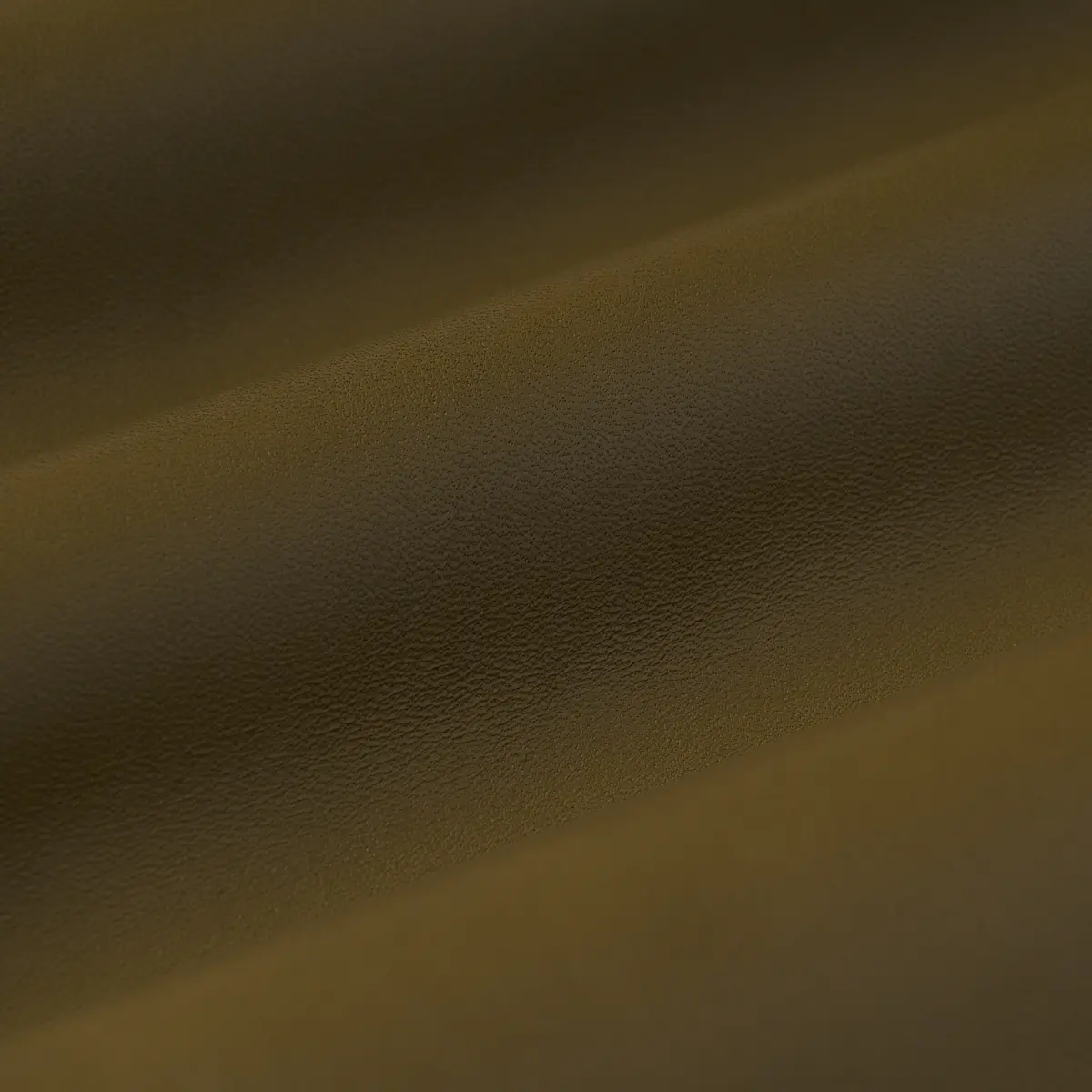 PETTINI_ OLIVE