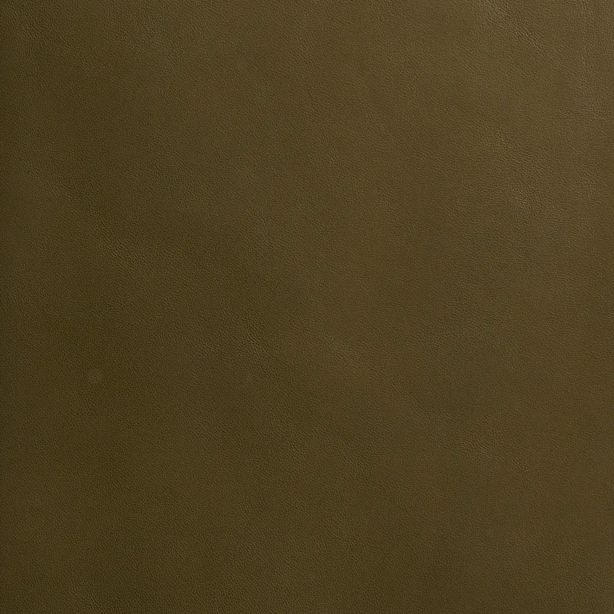 PETTINI_ OLIVE