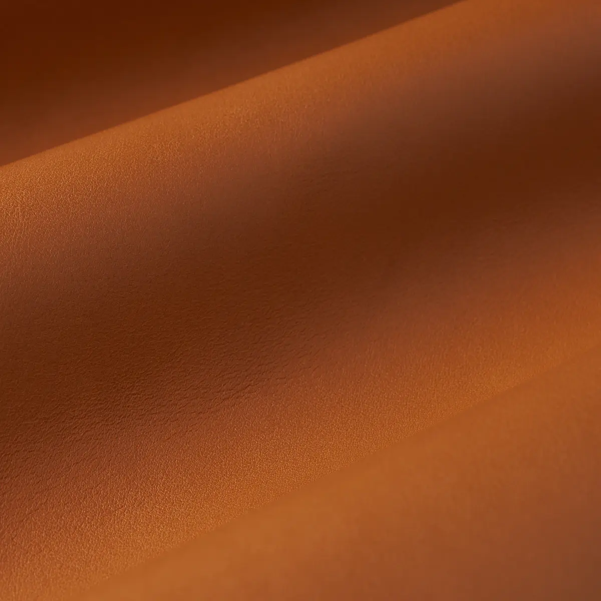 PETTINI_ COPPER