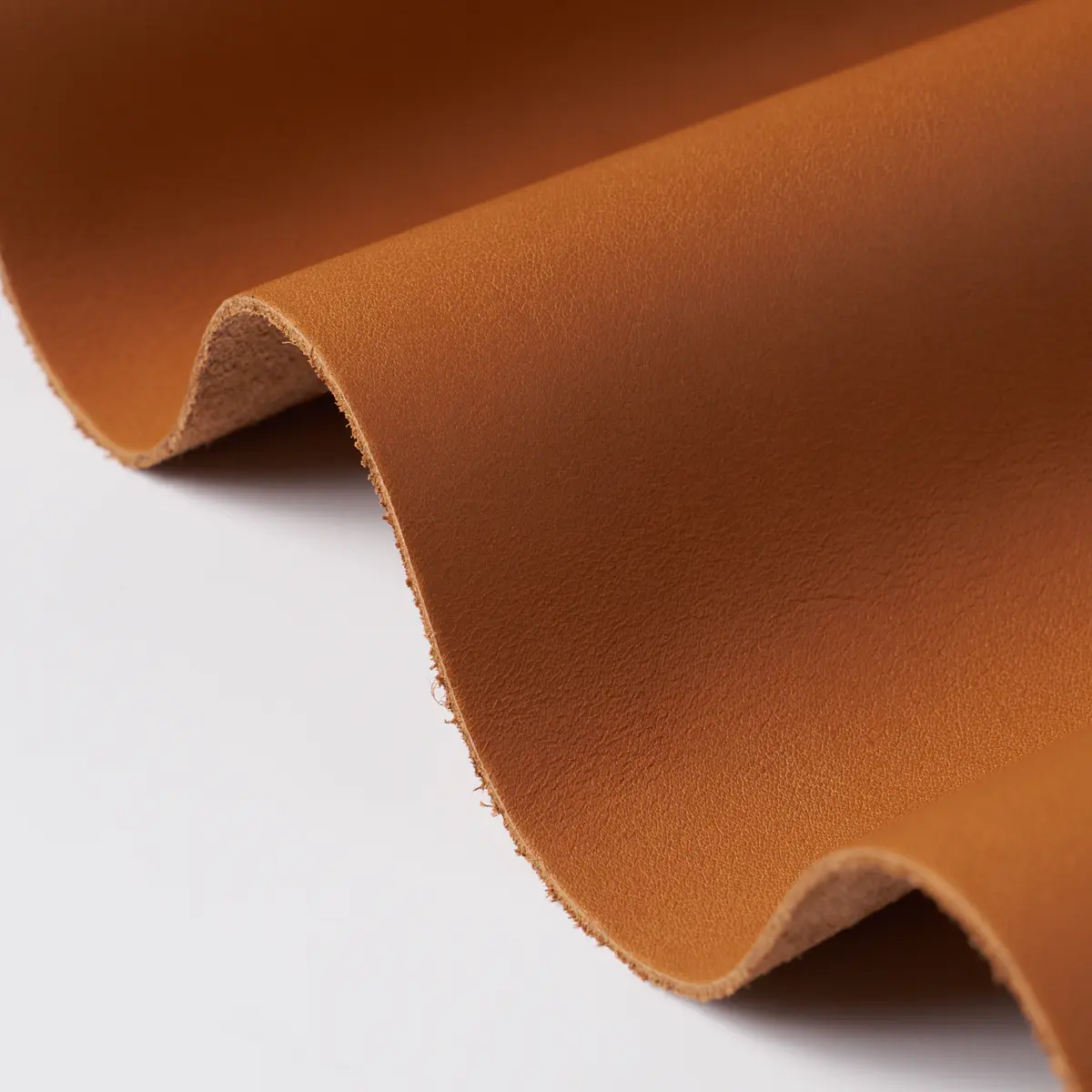 PETTINI_ COPPER