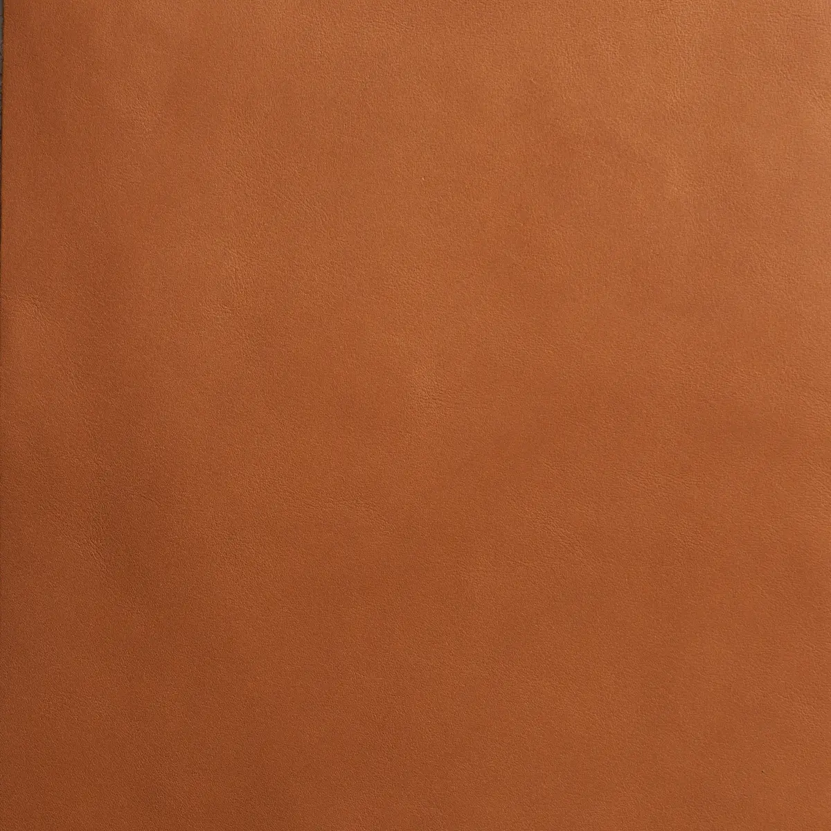 PETTINI_ COPPER