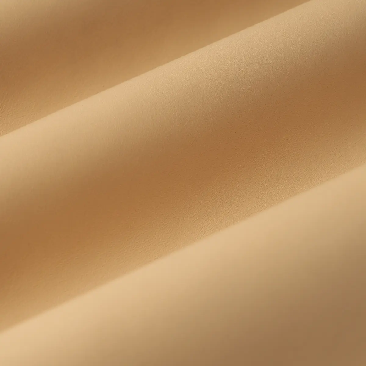 PETTINI_ WHEAT