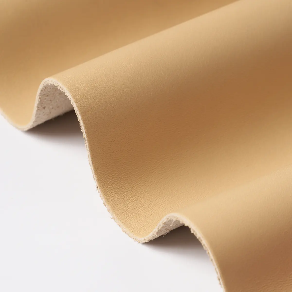 PETTINI_ WHEAT