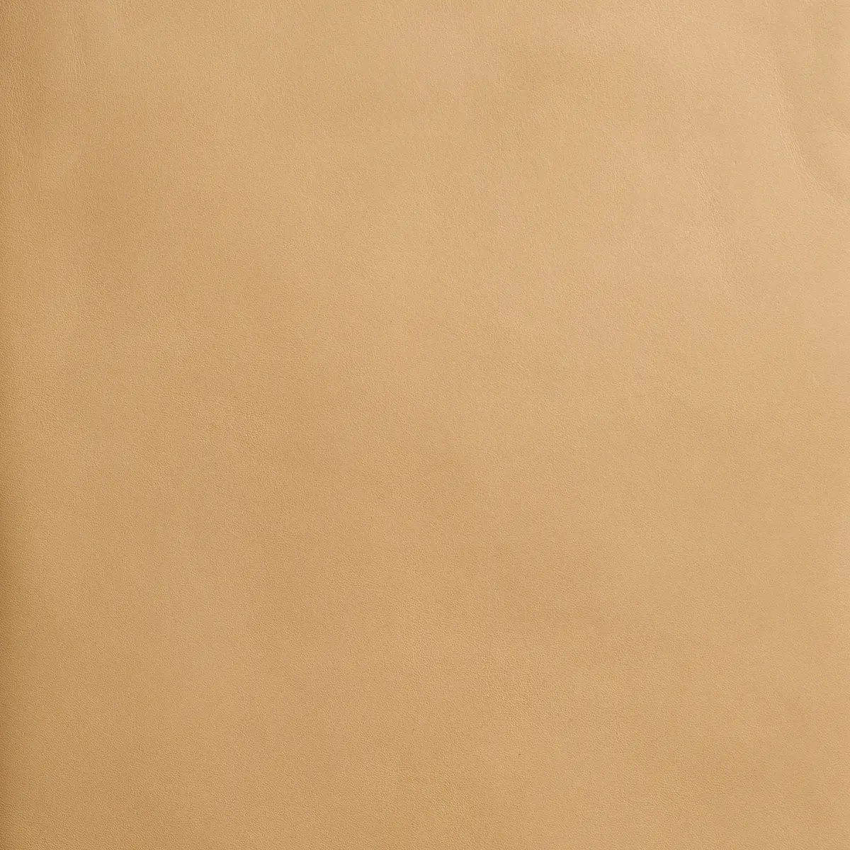 PETTINI_ WHEAT