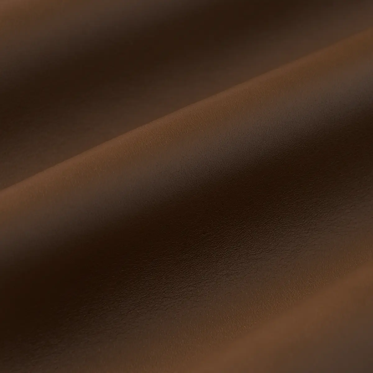 PETTINI_ MOCHA