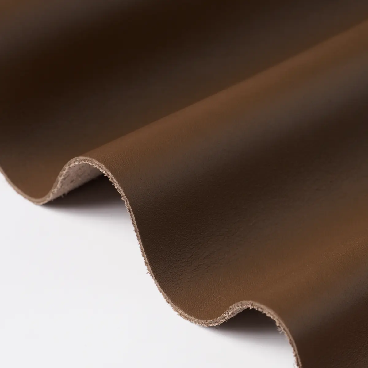 PETTINI_ MOCHA