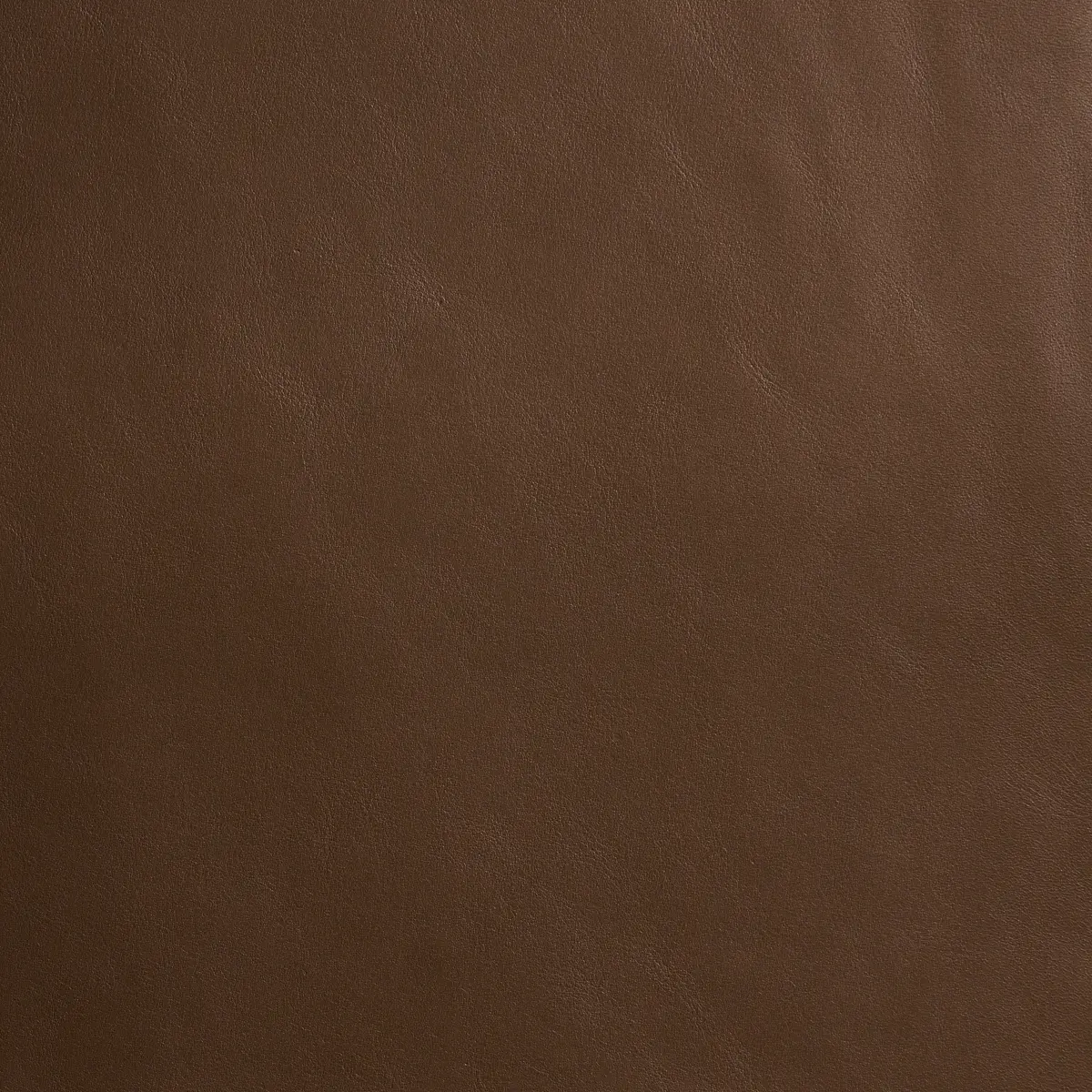 PETTINI_ MOCHA