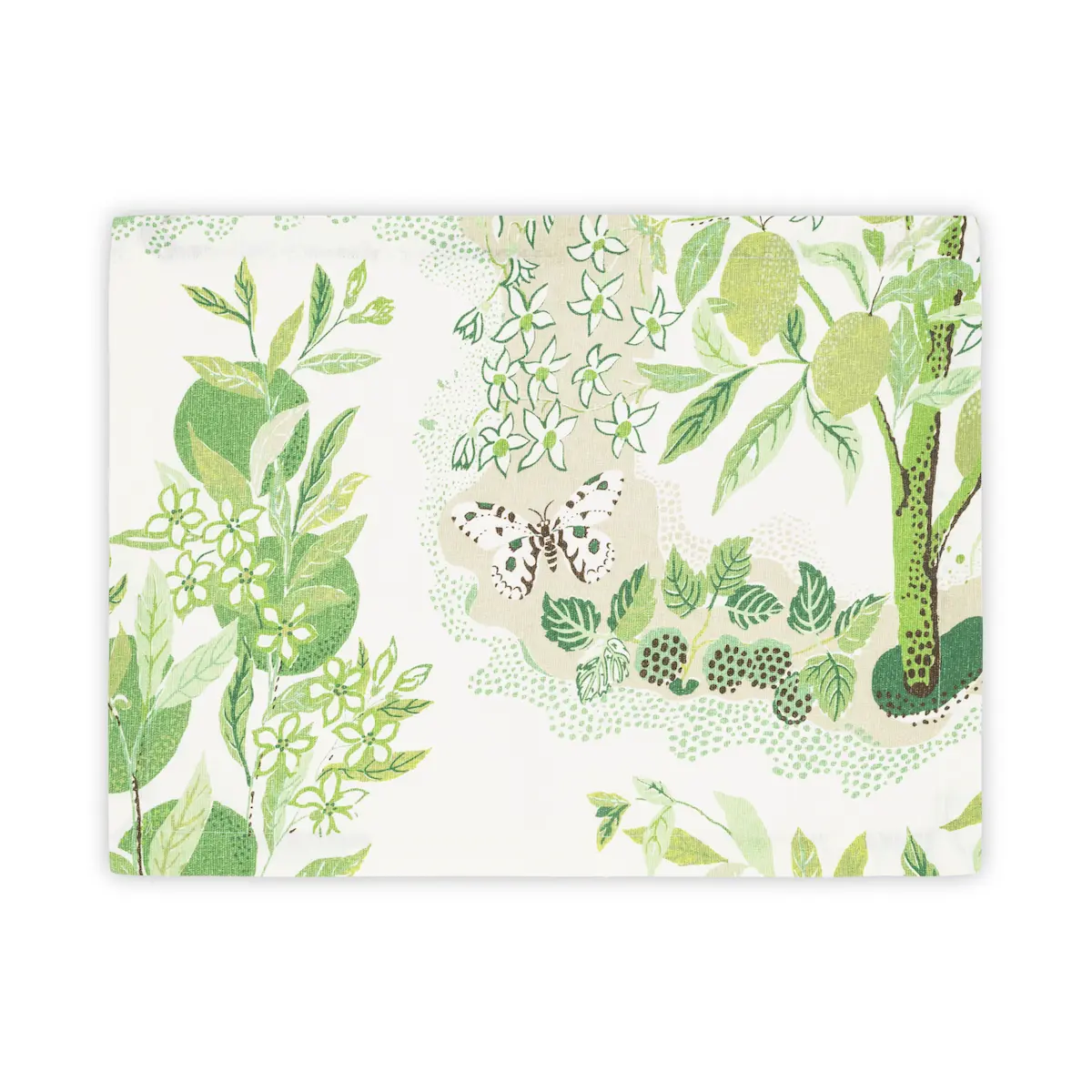 Citrus Garden Placemat, Set of 4_ GRASS
