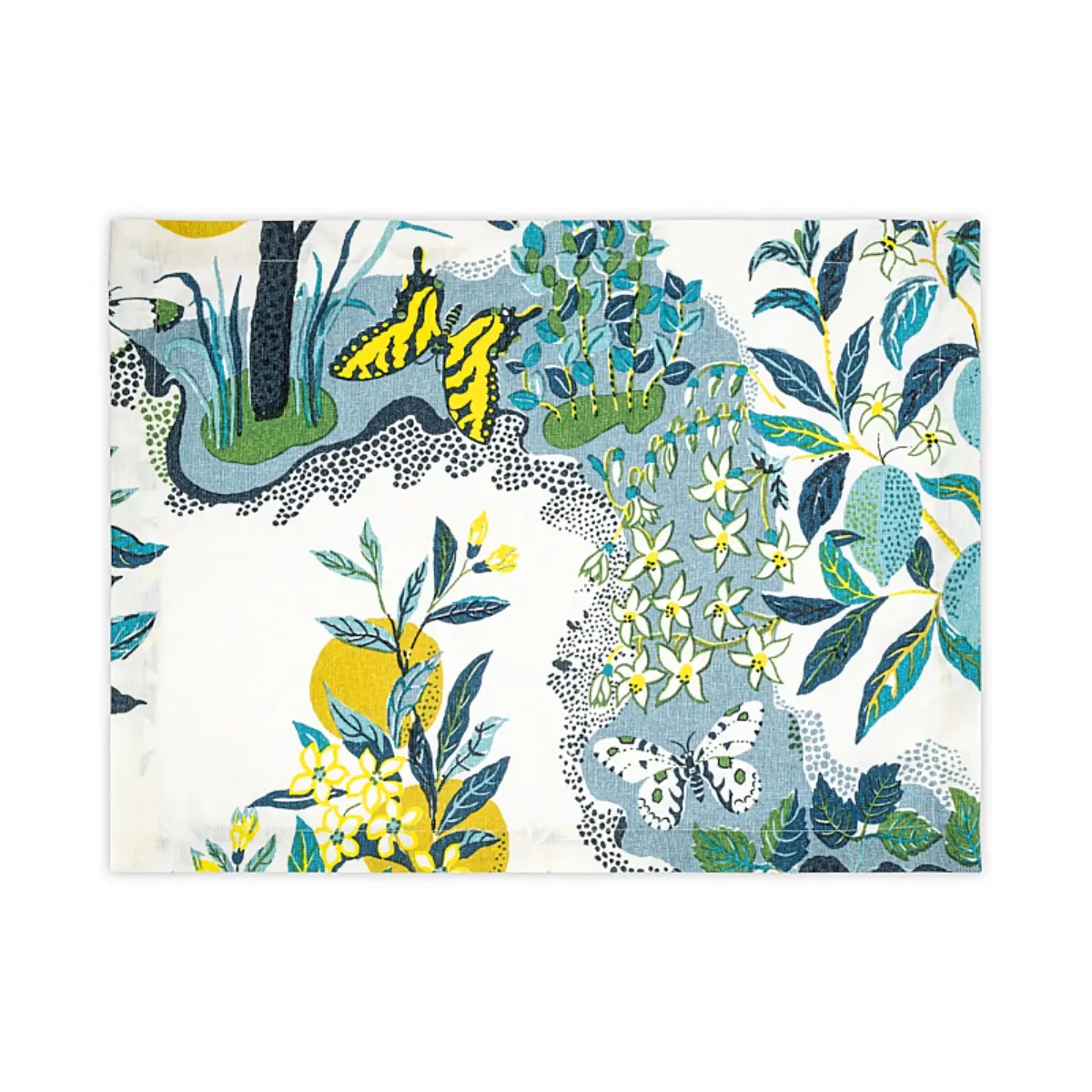 Citrus Garden Placemat, Set of 4_ POOL