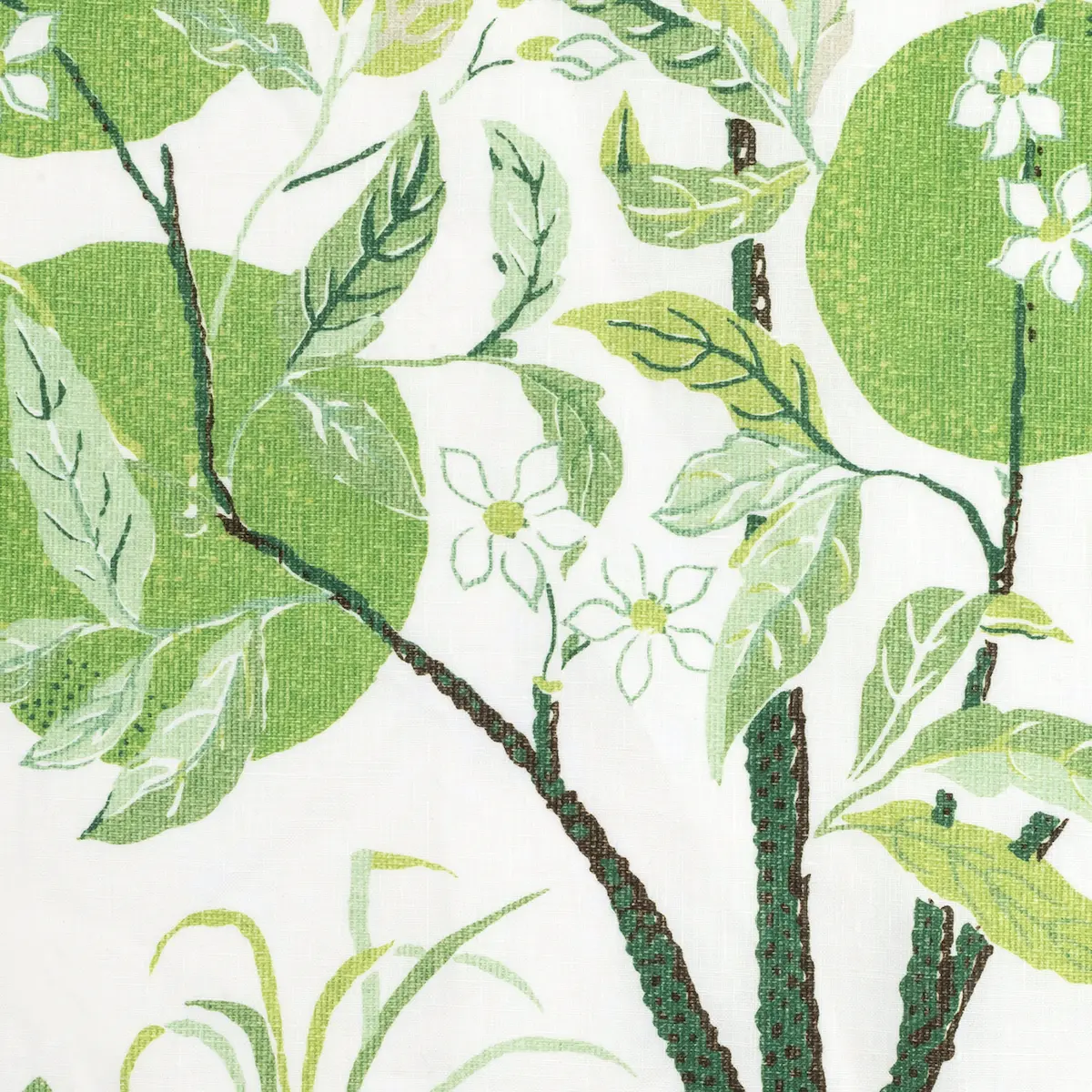 Citrus Garden Tablecloth_ GRASS