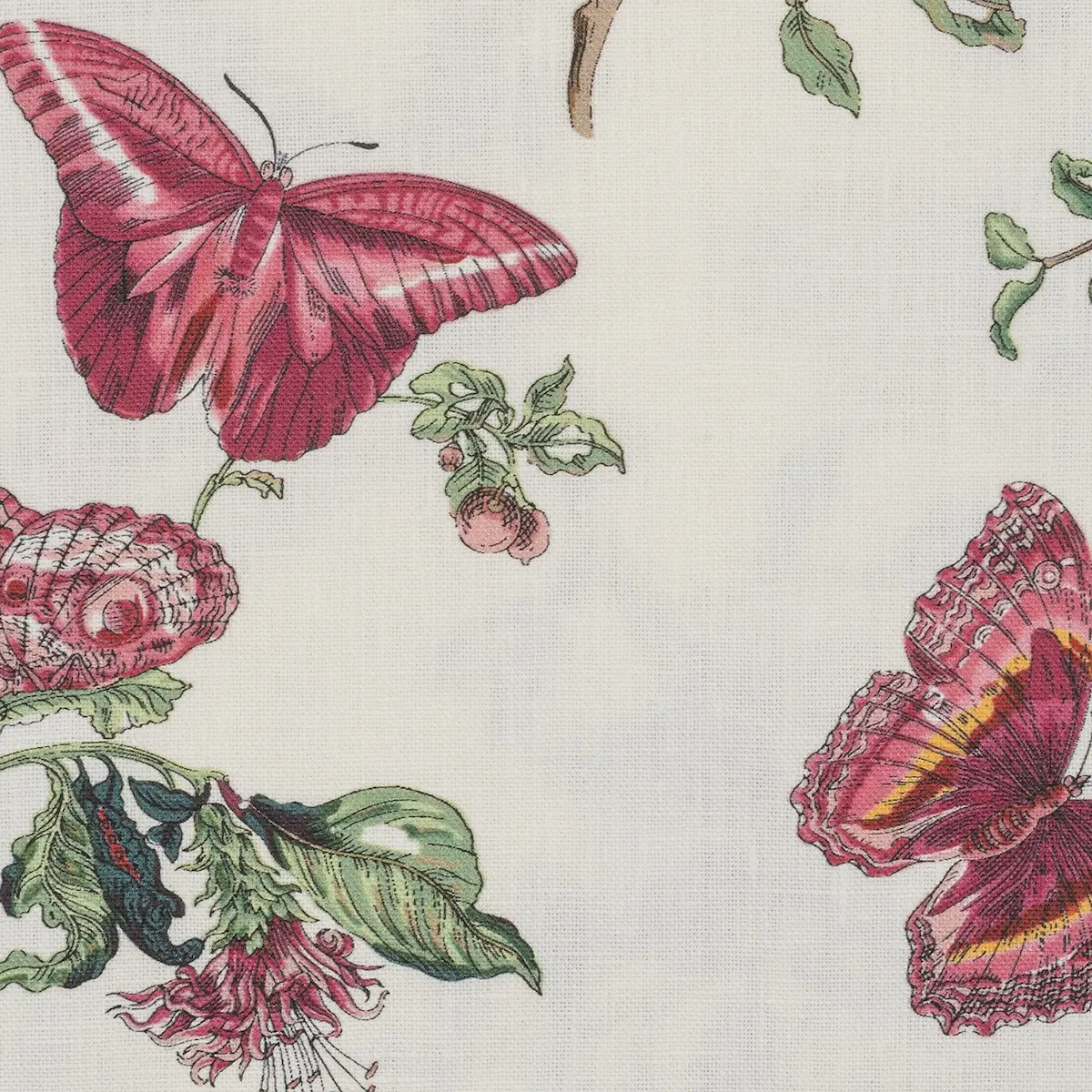Baudin Butterfly Tablecloth_ RUBY