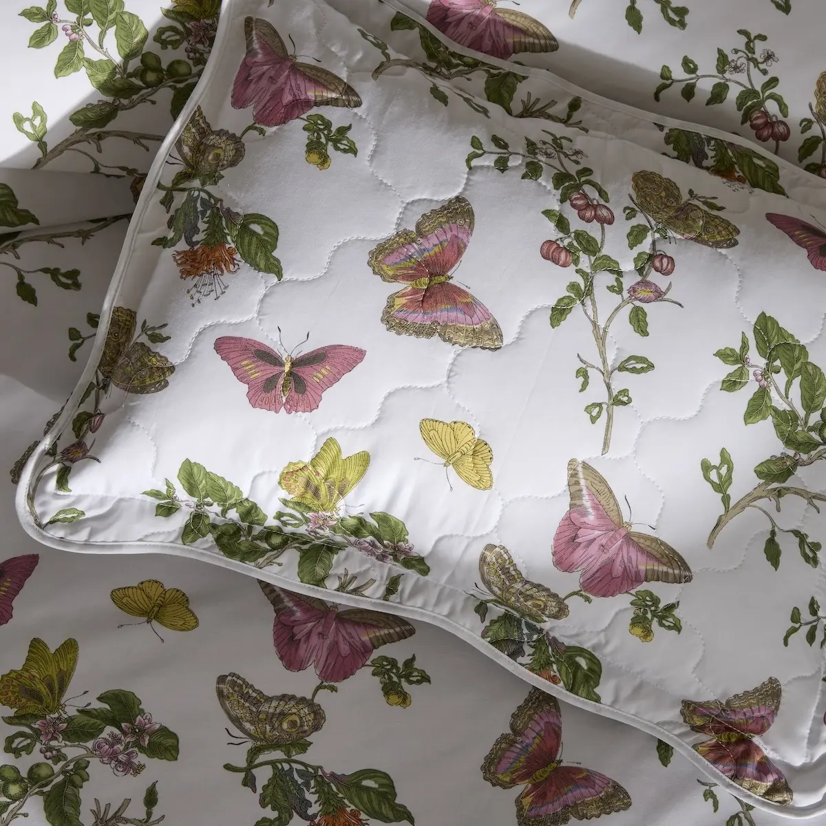 Baudin Butterfly Quilt_ PINK